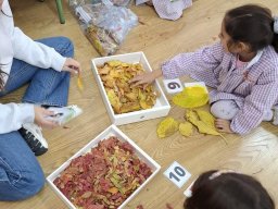 01-SegundoDiaErasmusPlusNaturekids-Taller6
