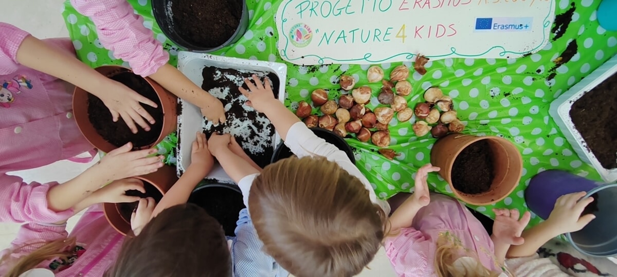 La plantación de bulbos de tulipanes por los principales lugares públicos de Taviano fue una de las actividades de este meeting de Italia Plantacion Bulbos Tulipanes ProyectoErasmusNature for kids a Taviano